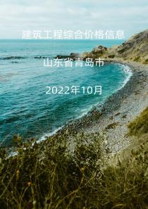 山东省青岛市2022年10月信息价
